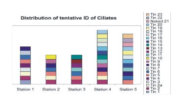 fig_09_costastintinnids.jpg