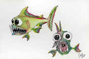 ThreeGilledAngryBosunFish.22April2006_Bruce_Cowden_sm.jpg (62337 bytes)