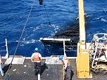 Launching the MOC-10 meter plankton net