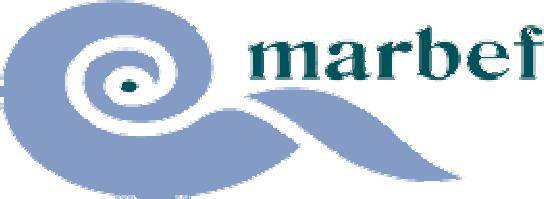 marbef logo